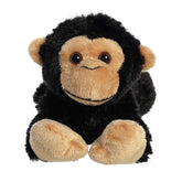 Aurora® - Mini Flopsie™ - 8" Cory Chimp™